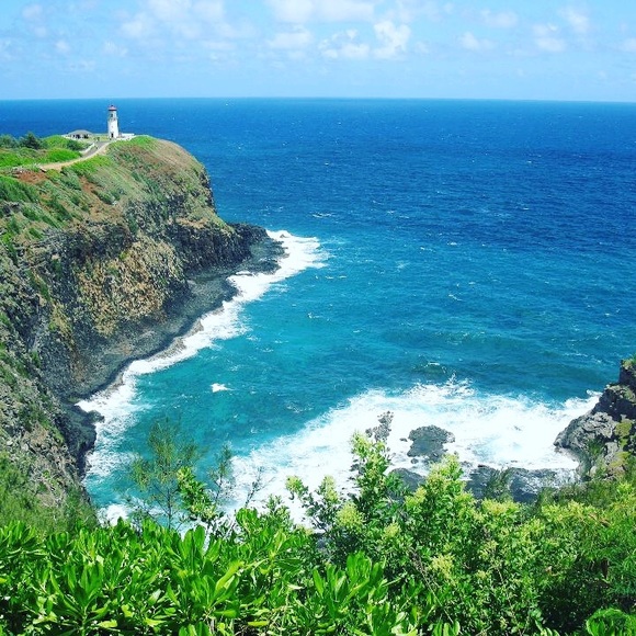 Meet your Posher, Jan - Picture 7 of 8